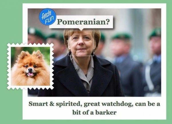 сервис what dog ангела меркель
