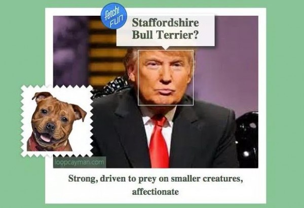 сервис what dog дональд трамп