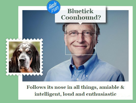сервис what dog билл гейтс